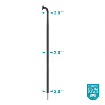 DT SWISS-Champion-J-Bend-Black-Plain