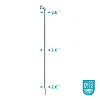 DT SWISS-Champion-J-Bend-Silver-Plain